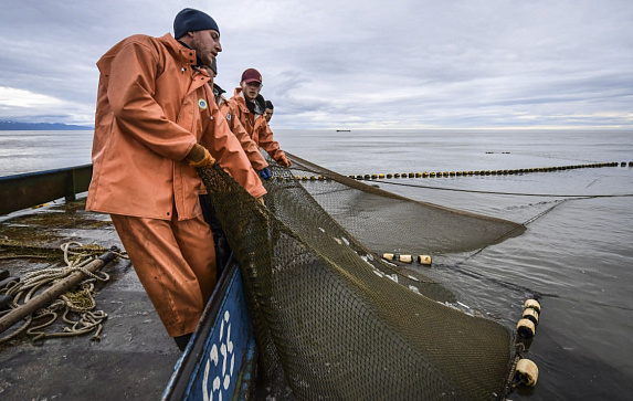 Экспорт российской рыбы за 2023 год расширили на 18 стран