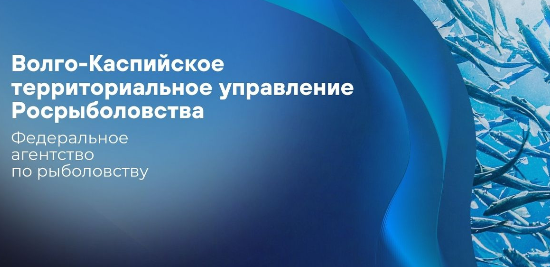 12 ноября 2024 прием граждан руководителем Волго-Каспийского территориального управления Росрыболовства Малкиным О.Н. в приемной Президента Российской Федерации в Астраханской области