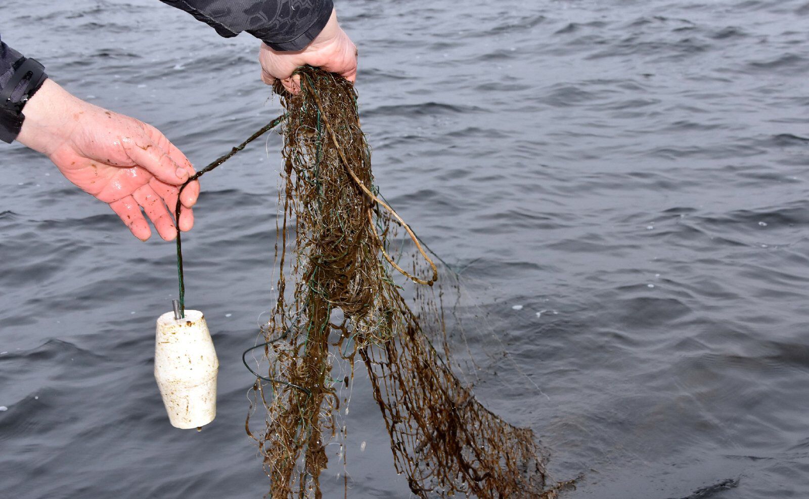 Всероссийская акция  "День без сетей"