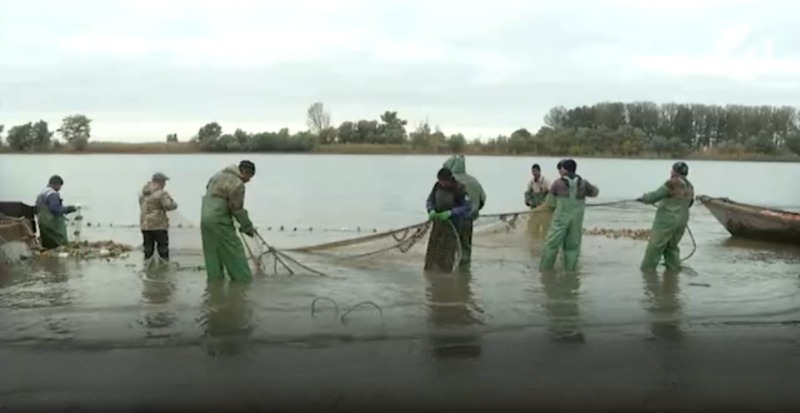  Астрахань-24, Вести, 12.09.2025 года, в Астраханской области началась осенняя путина