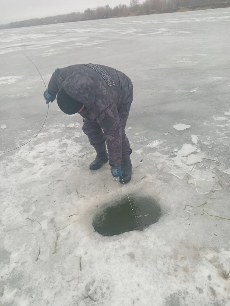 4f1d5abd-1aa4-470d-816f-f1da6295ddad - копия.jpg