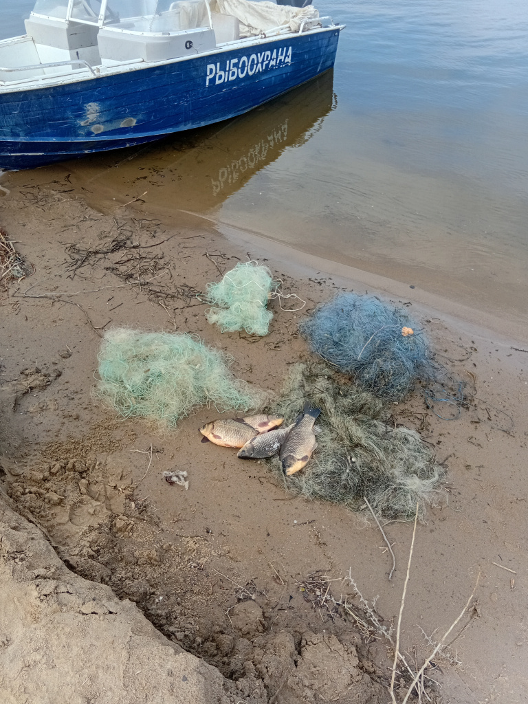 20260402_123625 (1).jpg