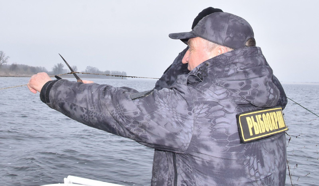 IMG-20260402-WA0006.jpg IMG-20260402-WA0006.jpg