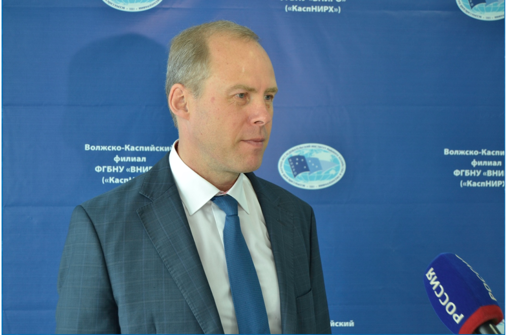 Без имени.png