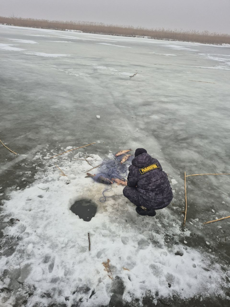 5192857740429168634.jpg 5192857740429168634.jpg