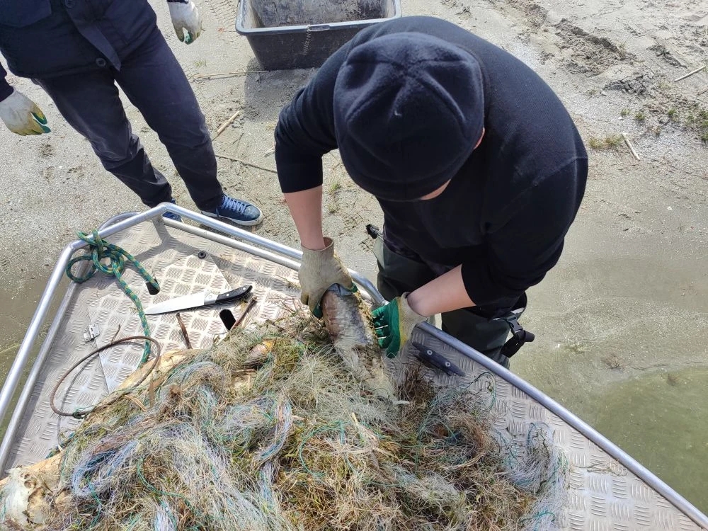 IMG_20260406_091050_563.jpg IMG_20260406_091050_563.jpg