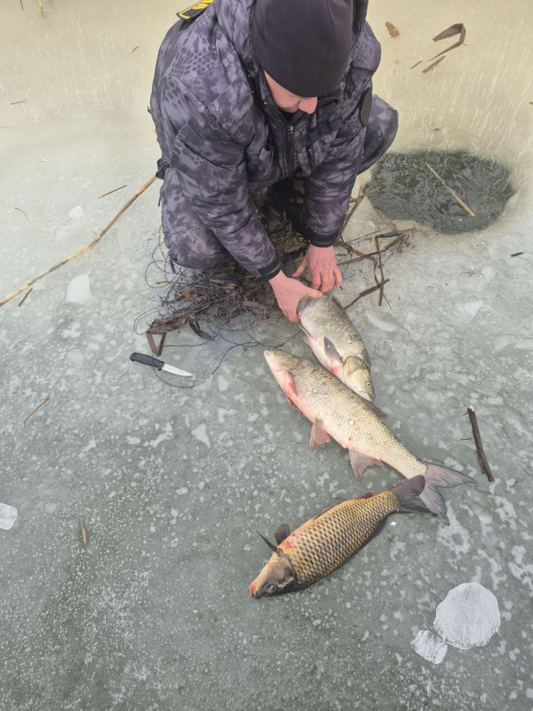 5192857740429168622.jpg 5192857740429168622.jpg