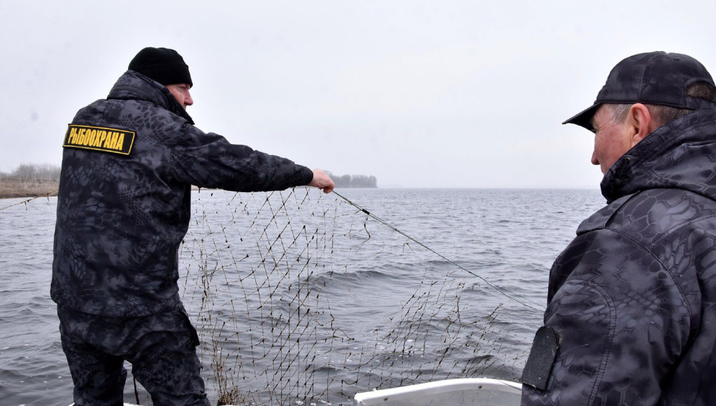 IMG-20260402-WA0003.jpg IMG-20260402-WA0003.jpg