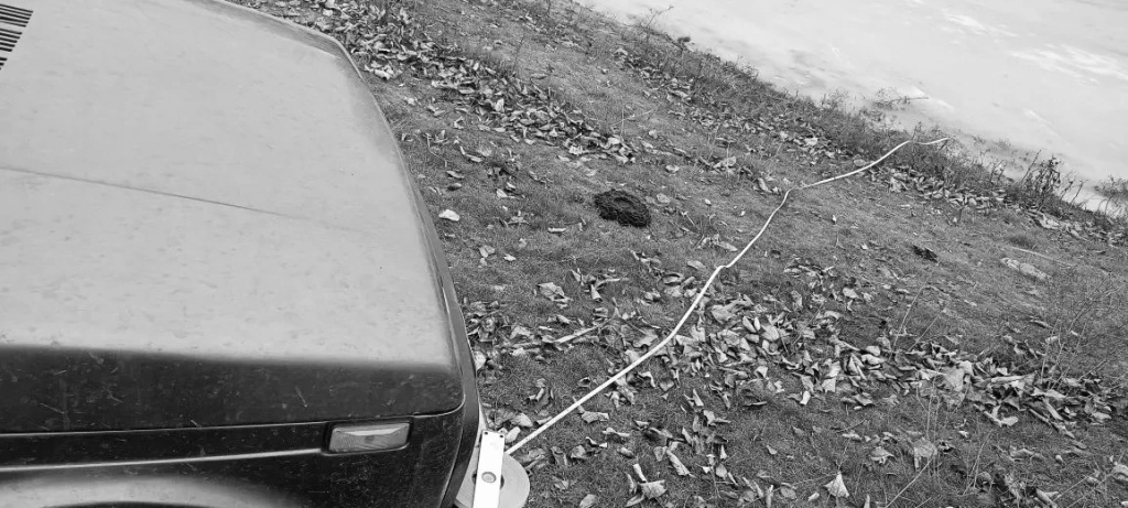 IMG_20260206_110608_193.jpg IMG_20260206_110608_193.jpg