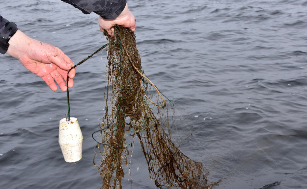 IMG-20260402-WA0001.jpg IMG-20260402-WA0001.jpg