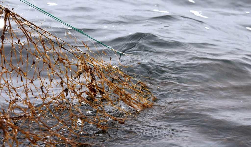 IMG-20260402-WA0005.jpg IMG-20260402-WA0005.jpg