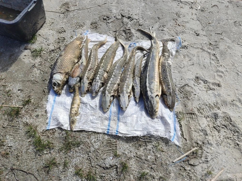 IMG_20260406_091101_224.jpg IMG_20260406_091101_224.jpg