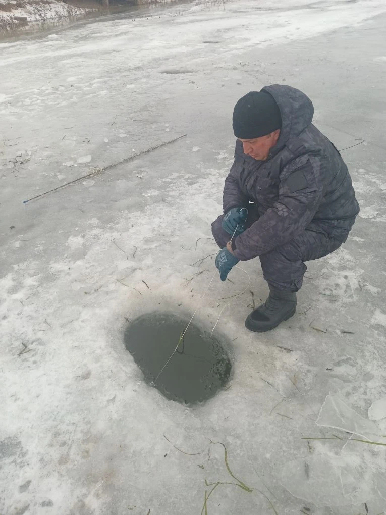 25df61f2-8ad4-46ca-b152-c90bfcd3c53e - копия.jpg 25df61f2-8ad4-46ca-b152-c90bfcd3c53e - копия.jpg