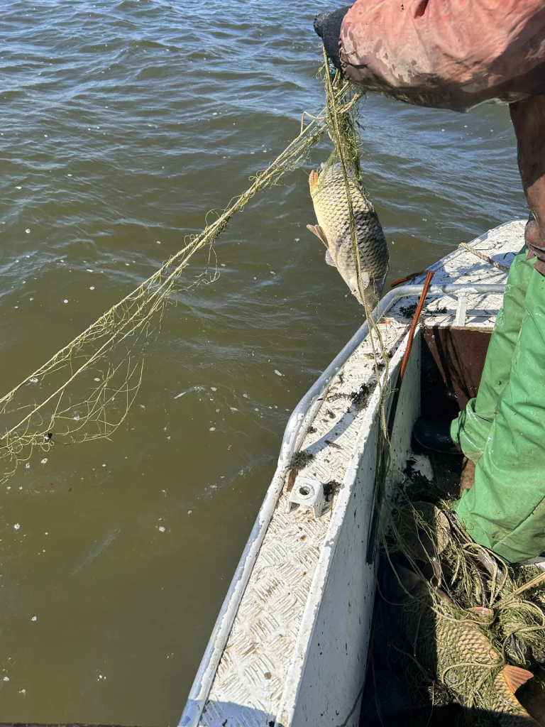 165478e4-8095-4bc6-8447-989e259f6c61.jpg 165478e4-8095-4bc6-8447-989e259f6c61.jpg