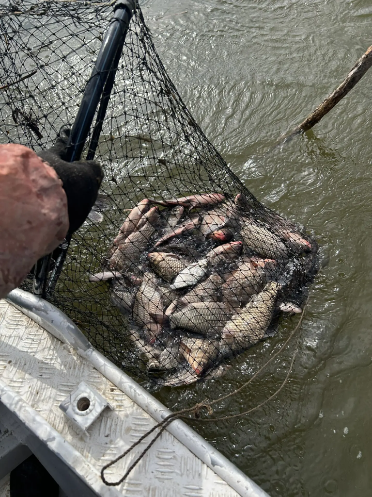 a0f037f5-c5d7-4c20-8701-650f70a07779.jpg a0f037f5-c5d7-4c20-8701-650f70a07779.jpg