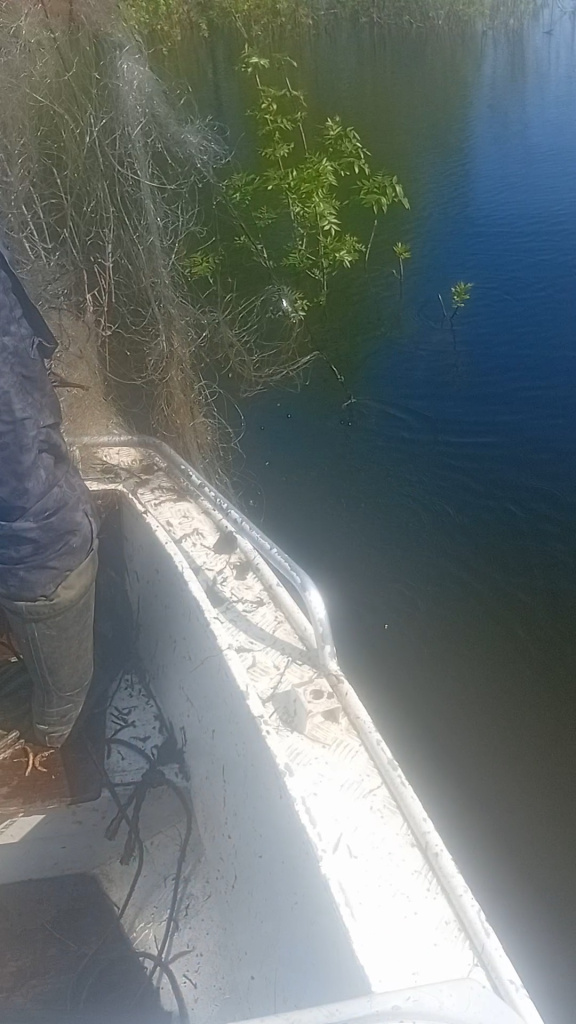 20260513_083237.jpg