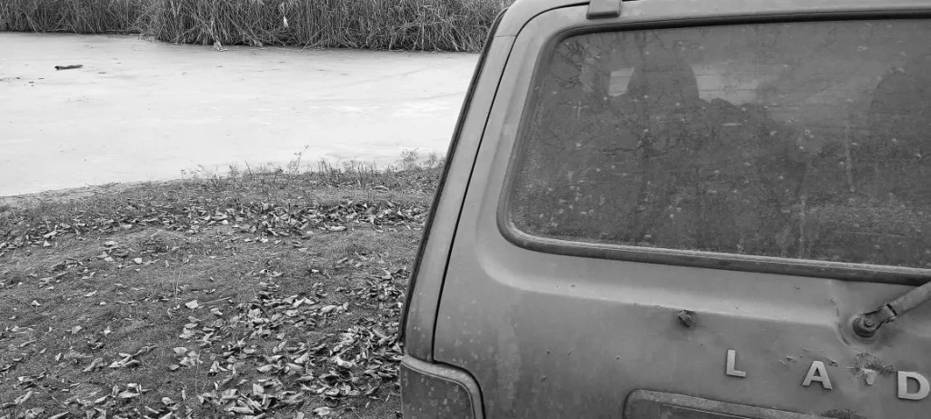 IMG_20260206_110611_981.jpg IMG_20260206_110611_981.jpg