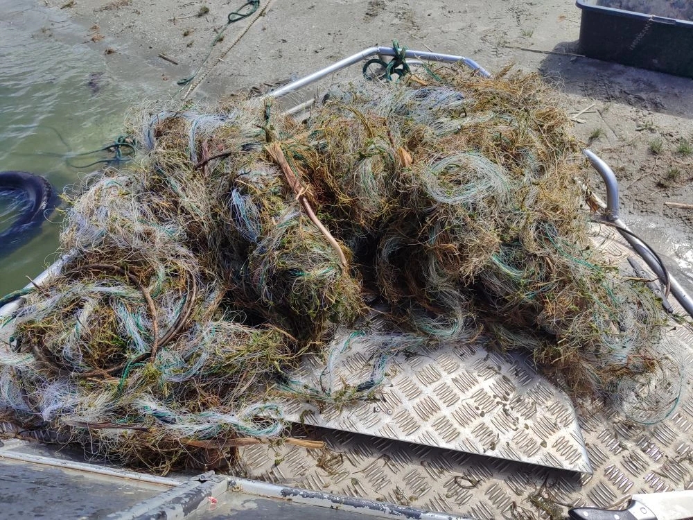 IMG_20260406_091058_042.jpg IMG_20260406_091058_042.jpg