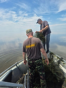 Сводка рыбоохраны с 06.07.2026 года по 13.07.2026 года