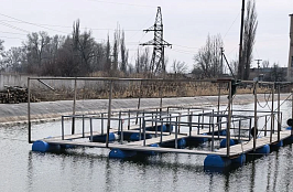 Рабочая поездка руководителя управления Олега Малкина на Волгоградский осетровый рыбоводный завод ФГБУ «Главрыбвод»      