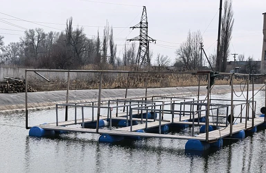 Рабочая поездка руководителя управления Олега Малкина на Волгоградский осетровый рыбоводный завод ФГБУ «Главрыбвод»      