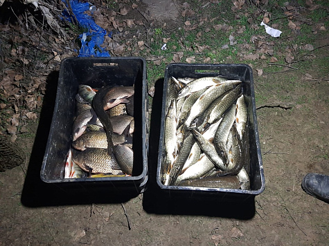 Сводка рыбоохраны с 01.12.2025 года по 08.12.2025 года