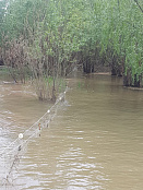 Сводка рыбоохраны с 24.08.2026 года  по 31.08.2026 года