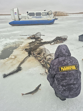 Сводка рыбоохраны с 02.02.2026 года по 09.02.2026 года