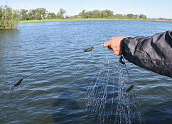Сводка рыбоохраны с 06.10.2025 по 13.10.2025
