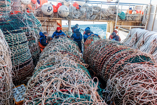 Российские рыбаки освоили свыше 4,1 млн тонн водных биоресурсов