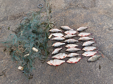 Сводка рыбоохраны с 15.12.2025 года по 22.12.2025 года