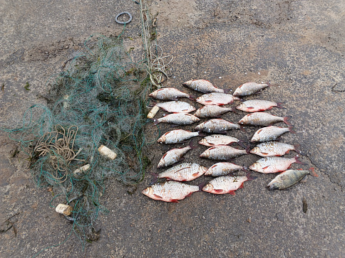 Сводка рыбоохраны с 15.12.2025 года по 22.12.2025 года