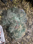 Сводка рыбоохраны с 10.11.2025 по 17.11.2025 