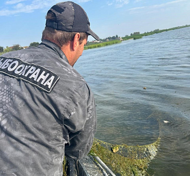 Сводка рыбоохраны с 25.08.2025 по 01.09.2025