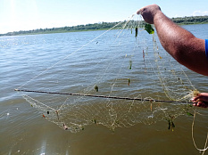 Сводка рыбоохраны с 28.07.2025 по 03.08.2025