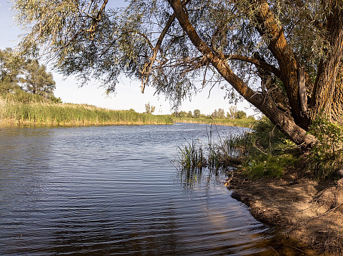 Сводка рыбоохраны с 30.09.2024 по 07.10.2024