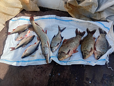 Сводка рыбоохраны с 24.11.2025 года  по 01.12.2025 года