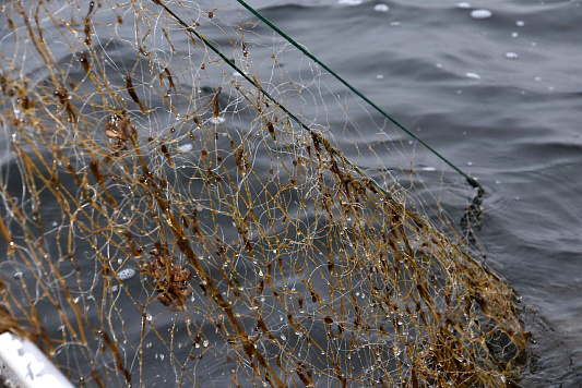 Сводка рыбоохраны с 30.03.2026 года по 06.04.2026 года