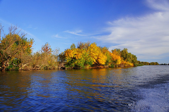 Сводка рыбоохраны с 11.11.2024 по 18.11.2024