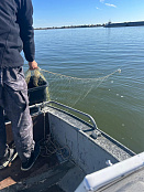 Сводка рыбоохраны с 13.10.2025  по 20.10.2025 