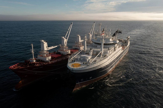 Оперативные данные: общероссийский вылов превысил 1 млн тонн