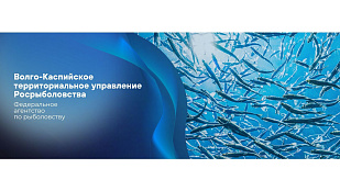 4 октября 2024 года Волго-Каспийским территориальным управлением Росрыболовства проведен второй этап конкурса на включение в кадровый резерв для замещения вакантных должностей государственной гражданской службы