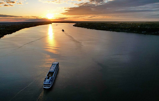 Популяция воблы восстанавливается: запрет на промысел этого вида дает результаты
