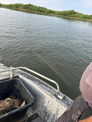 Сводка рыбоохраны с 08.09.2025 по 15.09.2025 