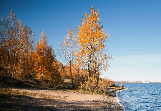 Сводка рыбоохраны с 28.10.2024 по 04.11.2024 года