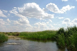 Сводка рыбоохраны с 02.09.2024 по 09.09.2024