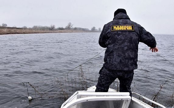 Всероссийская акция  "День без сетей"