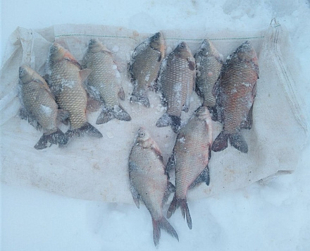 Сводка рыбоохраны с 19.01.2026 года по 26.01.2026 года