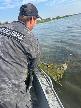 Сводка рыбоохраны с 10.08.2026 года  по 17.08.2026 года