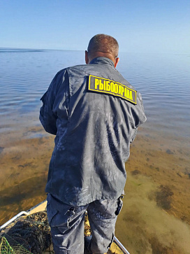 Сводка рыбоохраны с 03.08.2026 года  по 10.08.2026 года